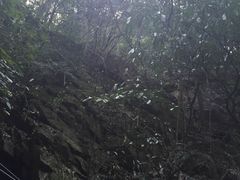 -藏龙百瀑风景区