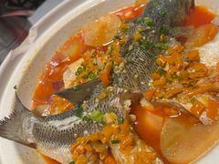 -樽宴酒楼·地道川菜·品质宴请