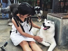 -TrueLove @ Neverland (Husky Cafe)