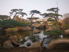 -罗红摄影艺术馆