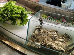 -九寸花汀(摩天活力城店)
