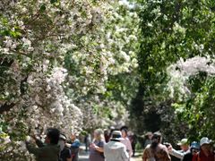 -国家植物园南园