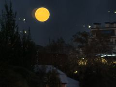 -涅瓦河