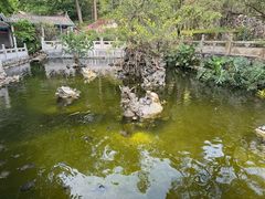 -国恩寺