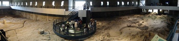 -自贡恐龙博物馆