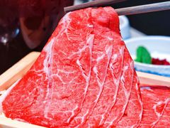 -浩爷羊蝎子火锅(望京店)