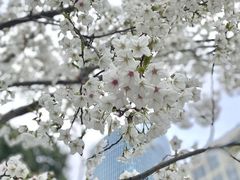 -星湖街(地铁站)