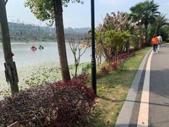 -枫香湖儿童公园
