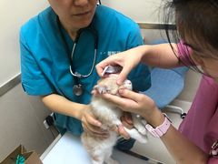 -爱妮康宠物医院·干细胞免疫细胞·肿瘤·心脏(张江店)