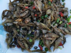 -黄牛肉馆·皖南土菜