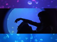 -江和美海洋公园