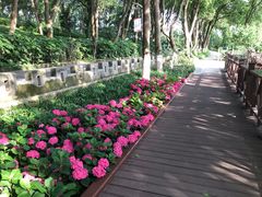 -上海市保健医疗中心