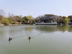 -无锡蠡湖国家湿地公园-蠡园