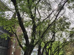 -广东外语外贸大学(白云山校区)