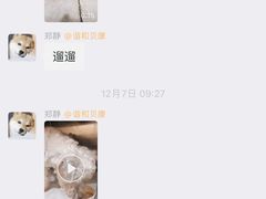 -谐和贝康宠物医院24小时·宠保定点(急重症转诊中心)