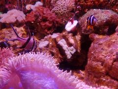 -石林冰雪海洋世界