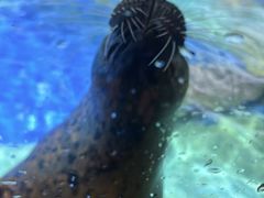 -太平洋海底世界