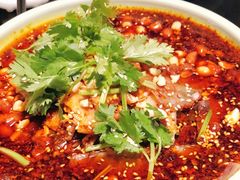 -陈麻婆豆腐总店