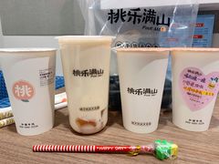 桃椰布蕾甘露-桃乐满山(川沙百联店)