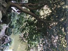 -杭州黄龙洞