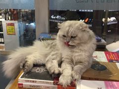 -小时光咖啡馆(开森度假森林店)