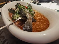 -桃源春晓中餐厅 TaoYuan Restaurant