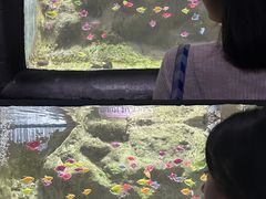 -苏州海洋馆