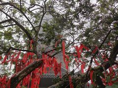 -灵岩山风景区