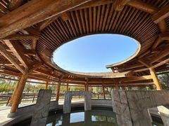 -西安浐灞国家湿地公园