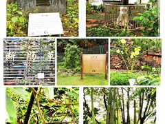 -广州神农草堂中医药博物馆