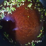 那就自己做一锅羊肉炖粉条吧
