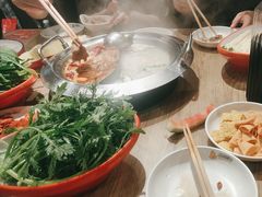 -彤德莱牛肉火锅(双港店)