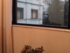 -曲江惠宾苑宾馆(大雁塔大唐不夜城店)