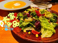 田园时蔬沙拉-布拉格餐厅· 中欧捷克菜(全国首店)