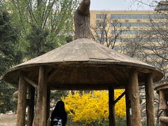 -元大都城垣遗址公园