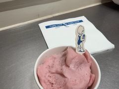 -海比甜店·意式手工冰激淋happy habit gelato