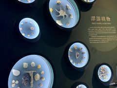 -中国湿地博物馆