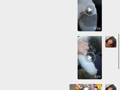 -熊小胖宠物生活馆(天华园店)