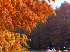 -上海海湾国家森林公园