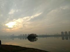 -瑶湖郊野森林公园
