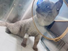 -萌兽医馆·眼科·异宠专科(三里屯店)