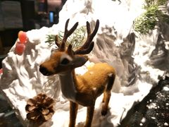 -北京希尔顿逸林酒店-逸轩西餐厅-自助餐厅