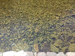 -水墨汀溪风景区