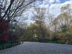 -西湖风景区-江洋畈生态公园