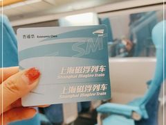 -龙阳路磁悬浮列车总站-停车场