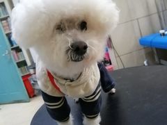 -美联众合动物医院·24h转诊中心