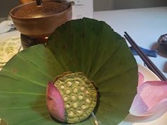 -叶叶菩提(太原别墅店)