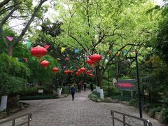 -瀛洲公园