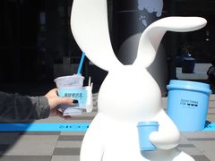 -东莞松山湖万象汇