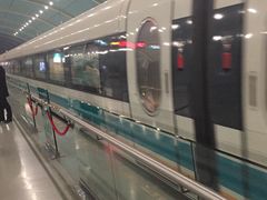 -龙阳路磁悬浮列车总站-停车场